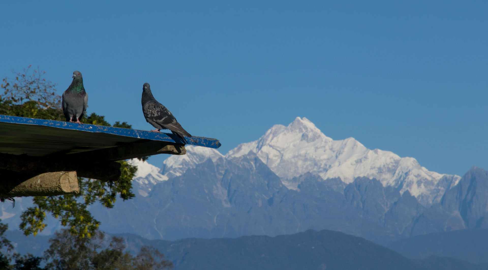 Explore Sillery Gaon