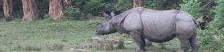 Jaldapara 3 day Package Tour