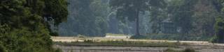 Eastern Dooars Tour Package