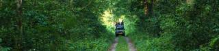 East and Central Dooars Tour Package