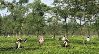 Alipurduar
