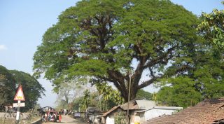 Rajabhatkhawa