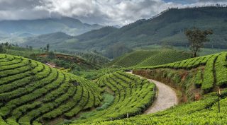 Darjeeling