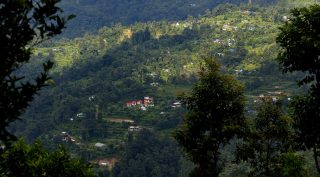 Sittong