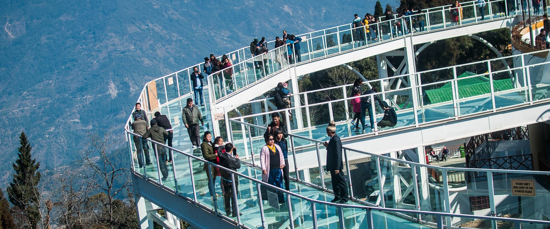 Kalimpong Gangtok Pelling Darjeeling Tour