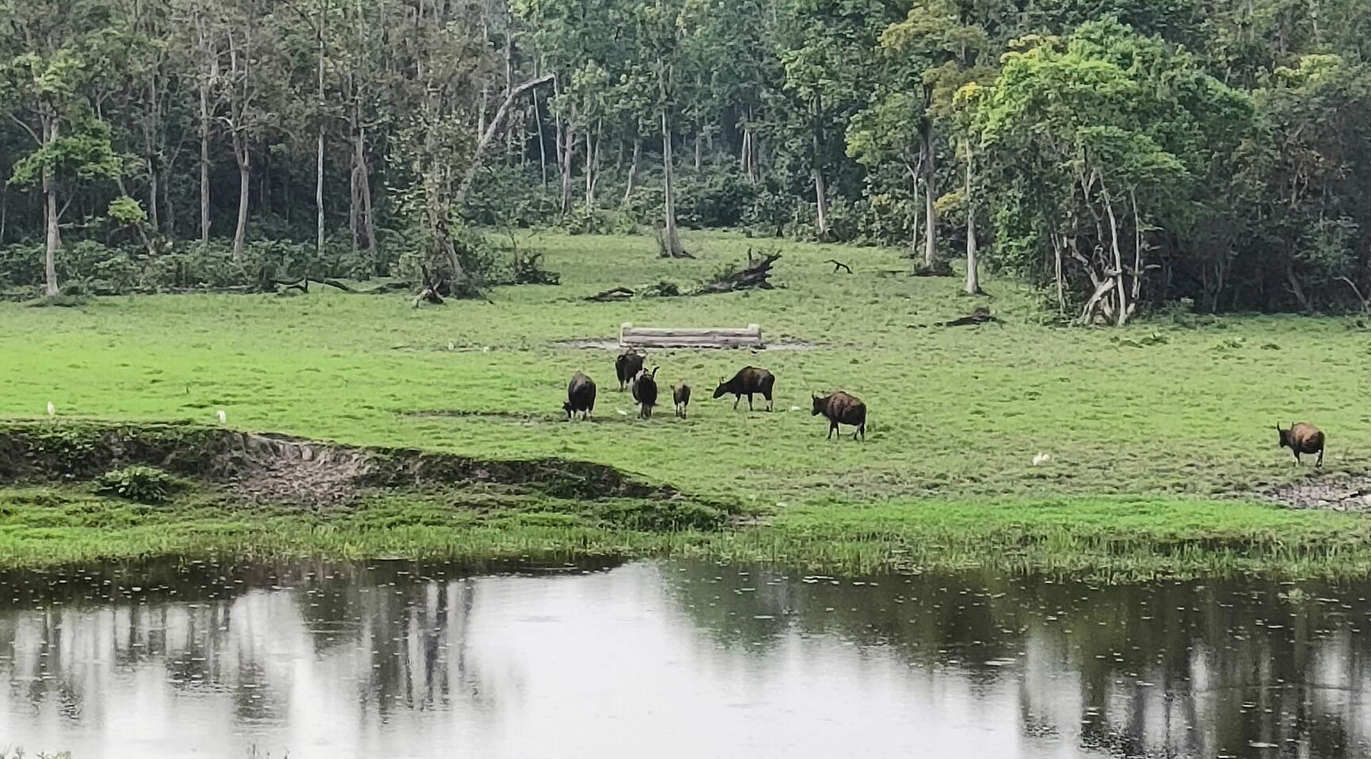 Chapramari