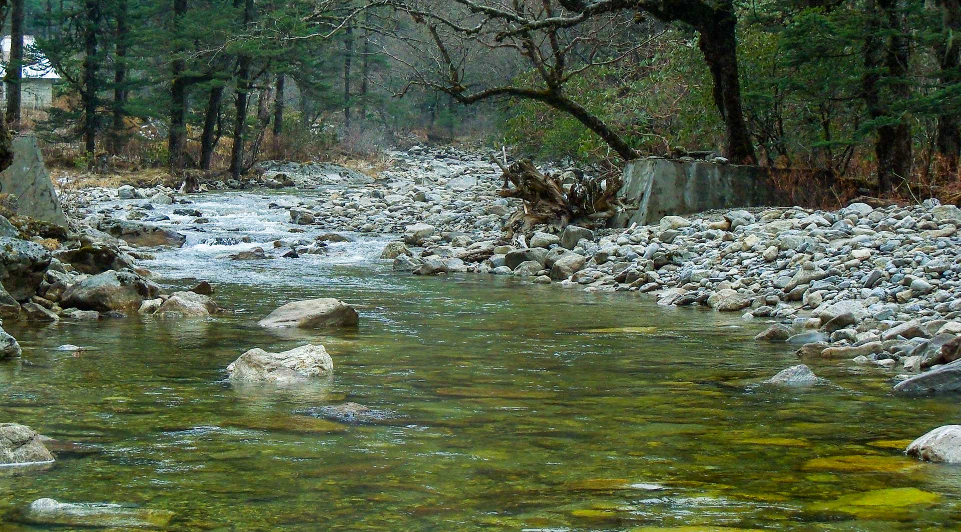 Neora Valley