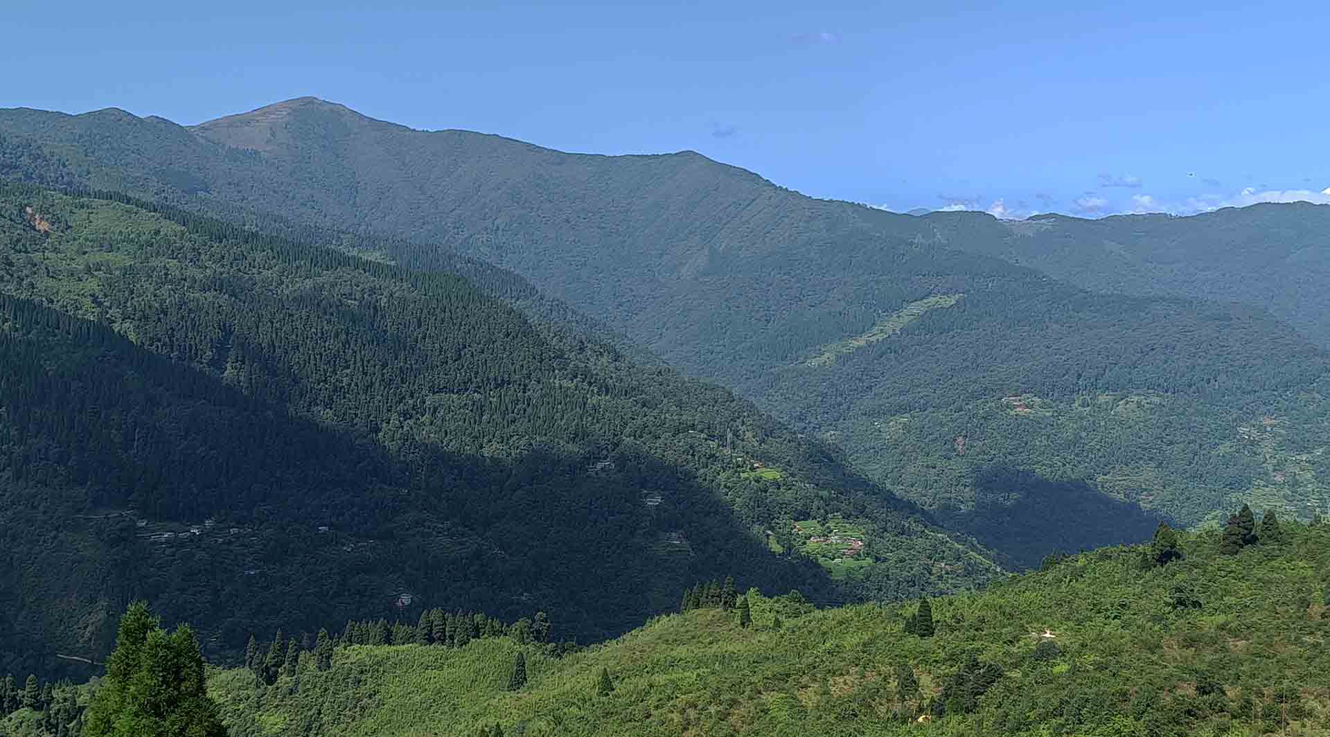 Rimbik