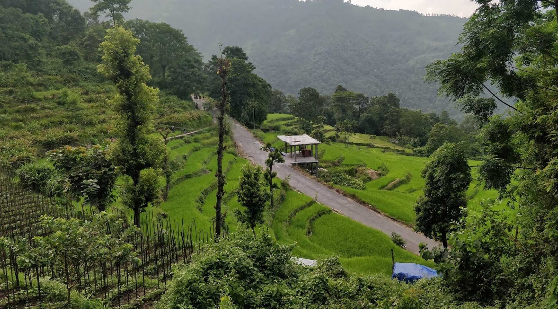 Mangwa