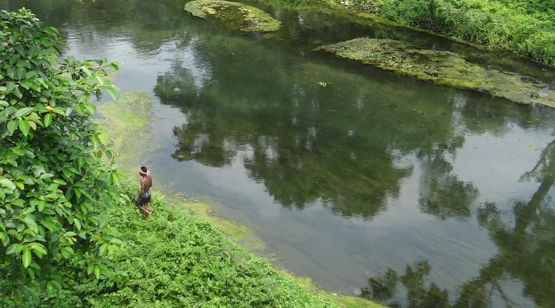 Falakata