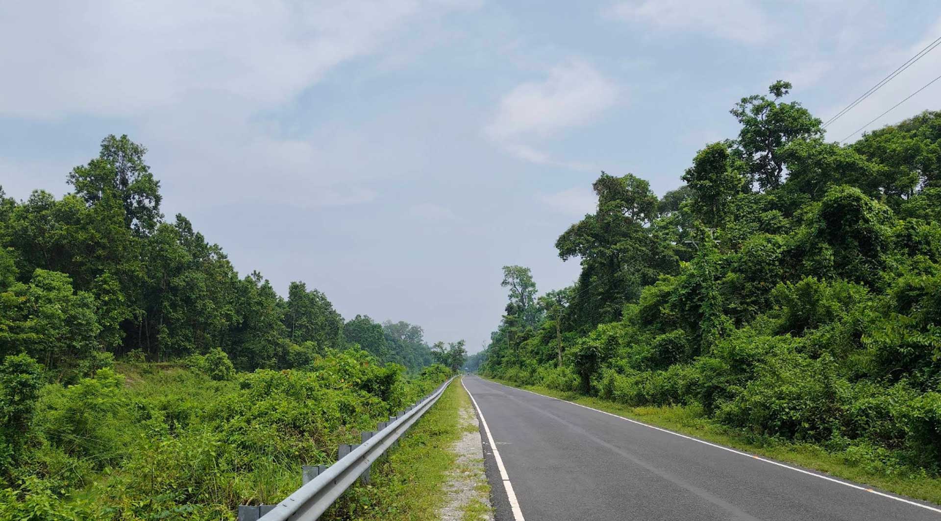 Kathambari Forest